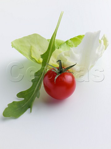 Lettuce and tomato