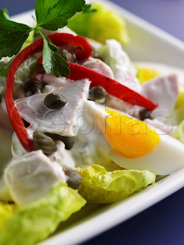 Chicken and boiled egg salad