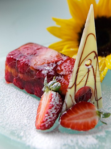 Strawberry terrine