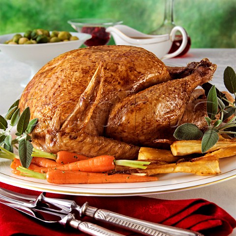 Christmas Roast Turkey with sprouts and vegetables