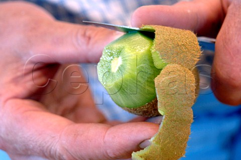 Peeling a kiwi fruit
