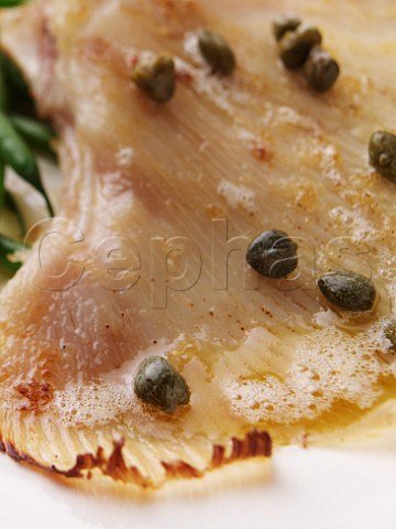 Wing of skate with butter and caper sauce