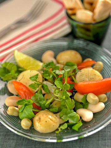 Butter bean and potato salad with watercress