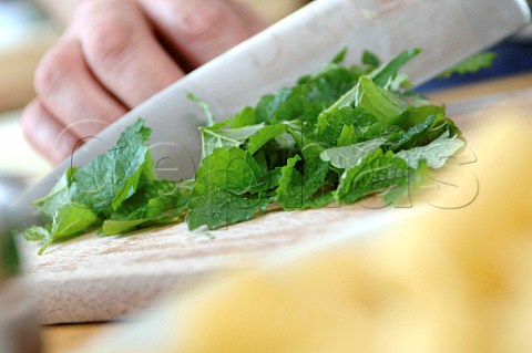 Chopping herbs with a kitchen knife
