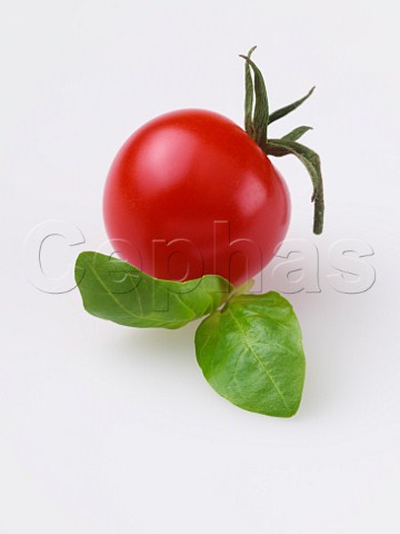Basil and cherry tomato