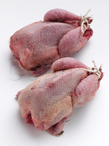 Quails raw