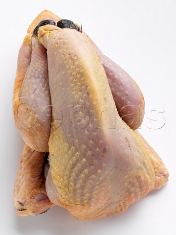 Cephas Picture Library - Asset Details 1211376- Raw Guinea Fowl.
