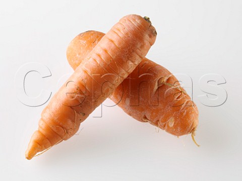 Misshapen carrots  supermarket rejects
