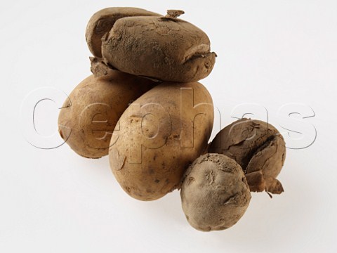 Ugly Potatoes