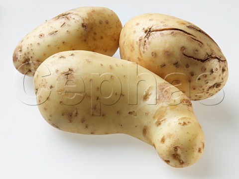 Misshapen potatoes  supermarket rejects
