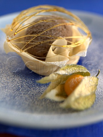 Chocolate icecream in a filo pastry cage with a Cape Gooseberry