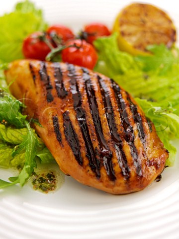 Grilled chicken breast and salad