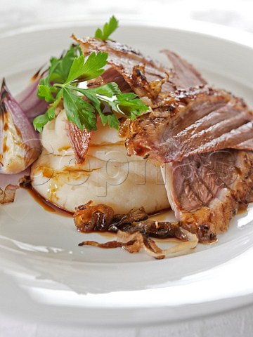 Plate of roast goose slices with jerusalem artichoke pure