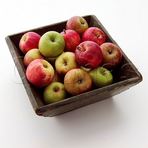 Variety of apples in a wooden bowl