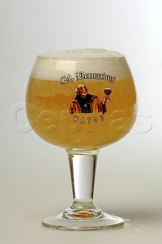 Glass of StBernardus Watou Witbier StBernard Brouwerij Belgium