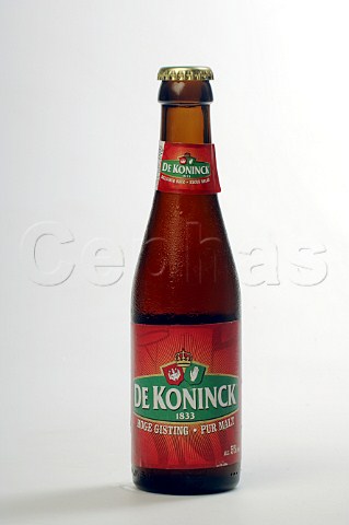 Bottle of De Koninck beer Brouwerij De Koninck Belgium