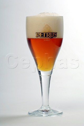 Glass of Petrus Speciale beer BavikDe Brabandere Belgium