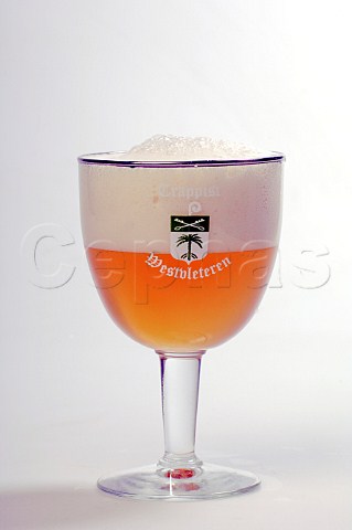 Glass of Westvleteren Trappist beer Westvleteren Abdij St Sixtus Belgium