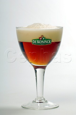 Glass of De Koninck malt beer Brouwerij De Koninck Belgium