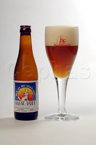 Bottle and Glass of Waase Wolf beer Brouwerij Boelens Belgium
