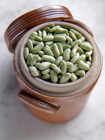 Flageolet beans in a storage jar