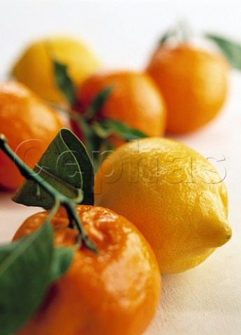 Waxed citrus fruit