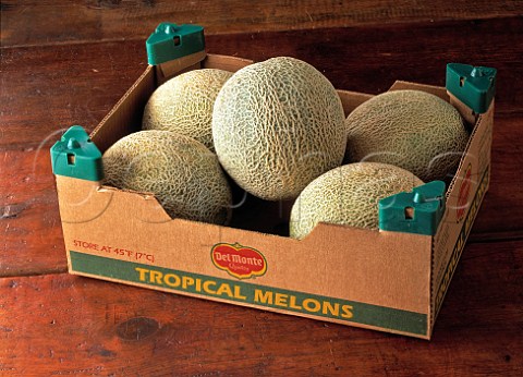 Cantaloupe melons in a box