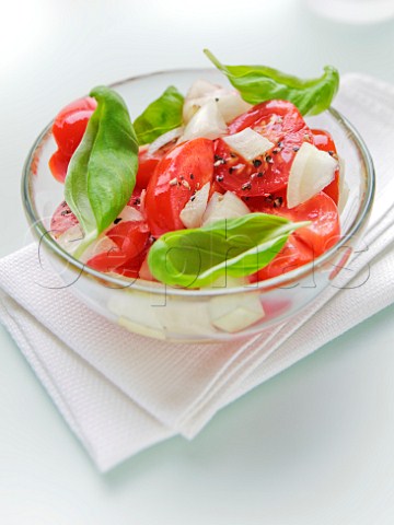 Tomato and onion salad