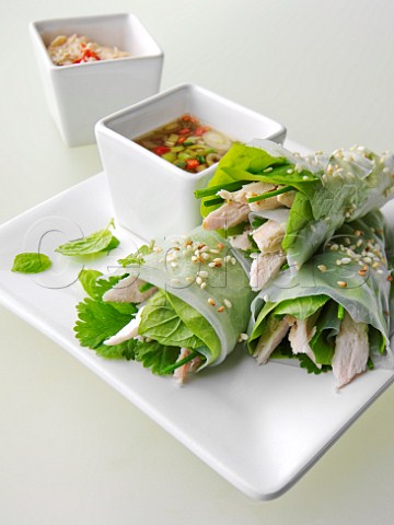 Vietnamese Wrap