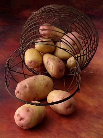 King Edward potatoes falling out of a basket