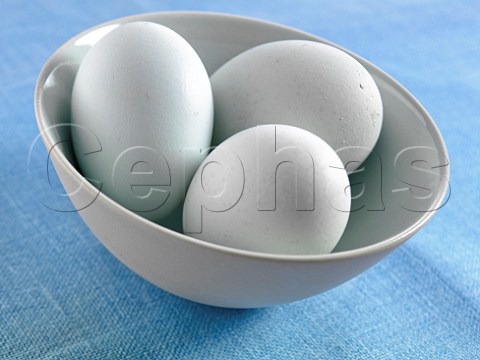 Legbar eggs