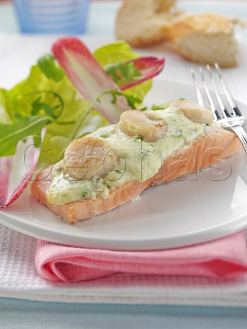 Salmon scallops and cheese dressing with salad