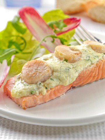Salmon scallops and cheese dressing with salad