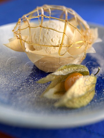 Vanilla icecream in filo pastry shell with physallis