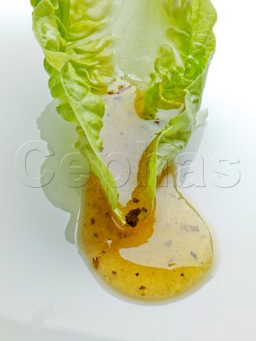 A single lettuce leaf with salad dressing