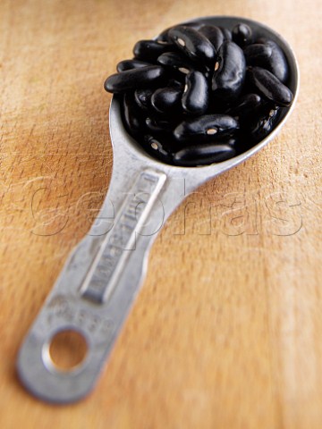 Black kidney beans in a metal spoon
