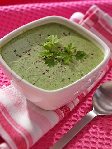Summer herb soup