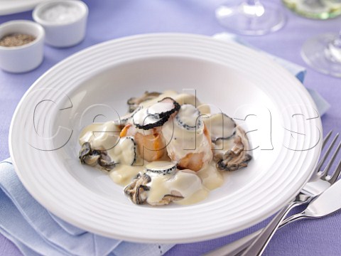 Scallops and mussels with truffle sauce