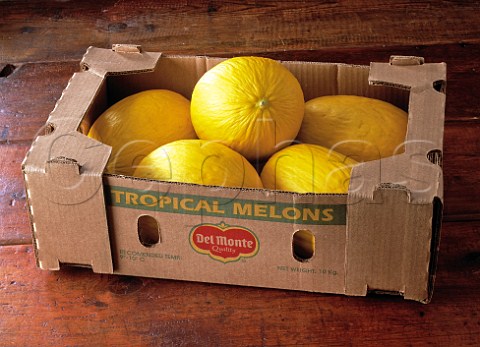 Honeydew melons in a box