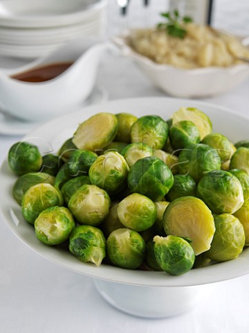 Bowl of cooked Brussel sprouts