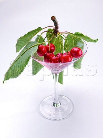 Cherries in a martini glass