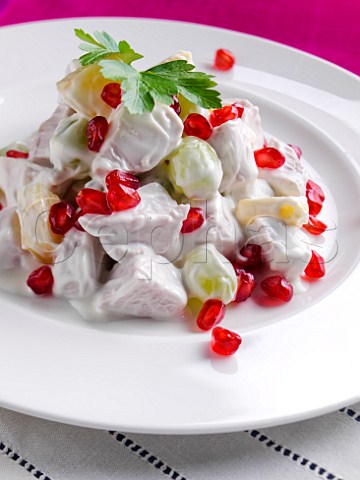 Chicken in mayonnaise with pineapple grapes and pomegranate