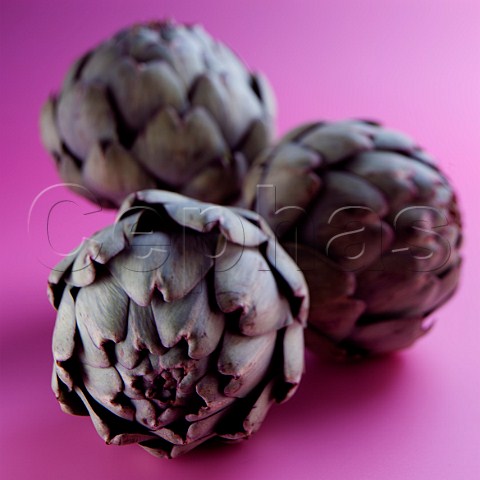 Artichokes