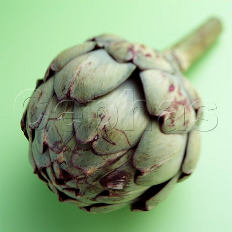 Artichoke