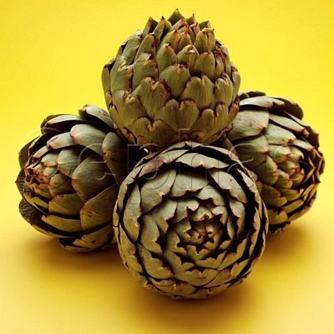 Artichokes