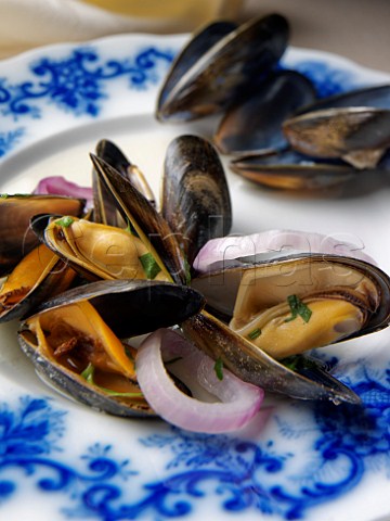 Plate of Scottish mussels