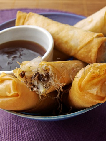 Crispy spring rolls with soy sauce