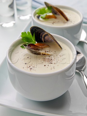Two bowls of smoked mussel soup