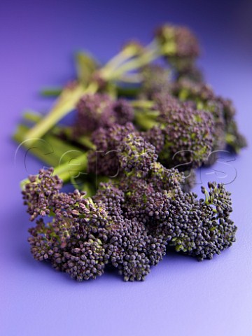 Purple broccoli florets