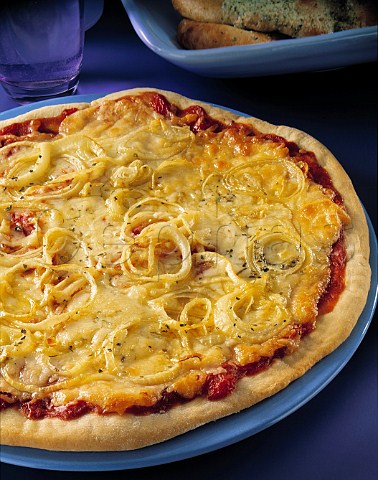 Cheese and onion pizza